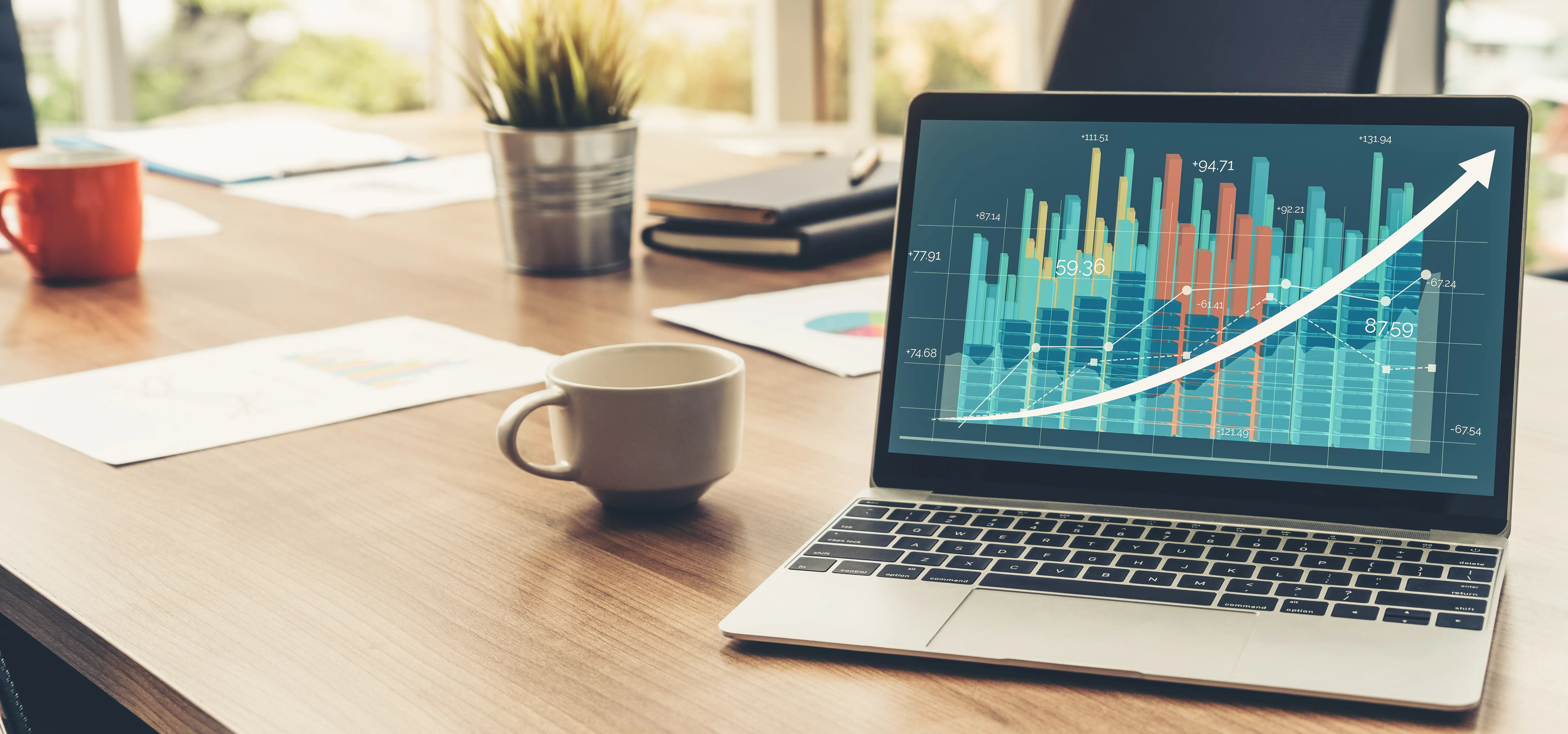 Progress made visible on laptop - SEO Results